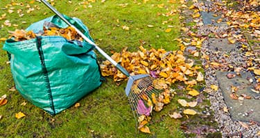 Exterior cleanup work being performed on a lawn