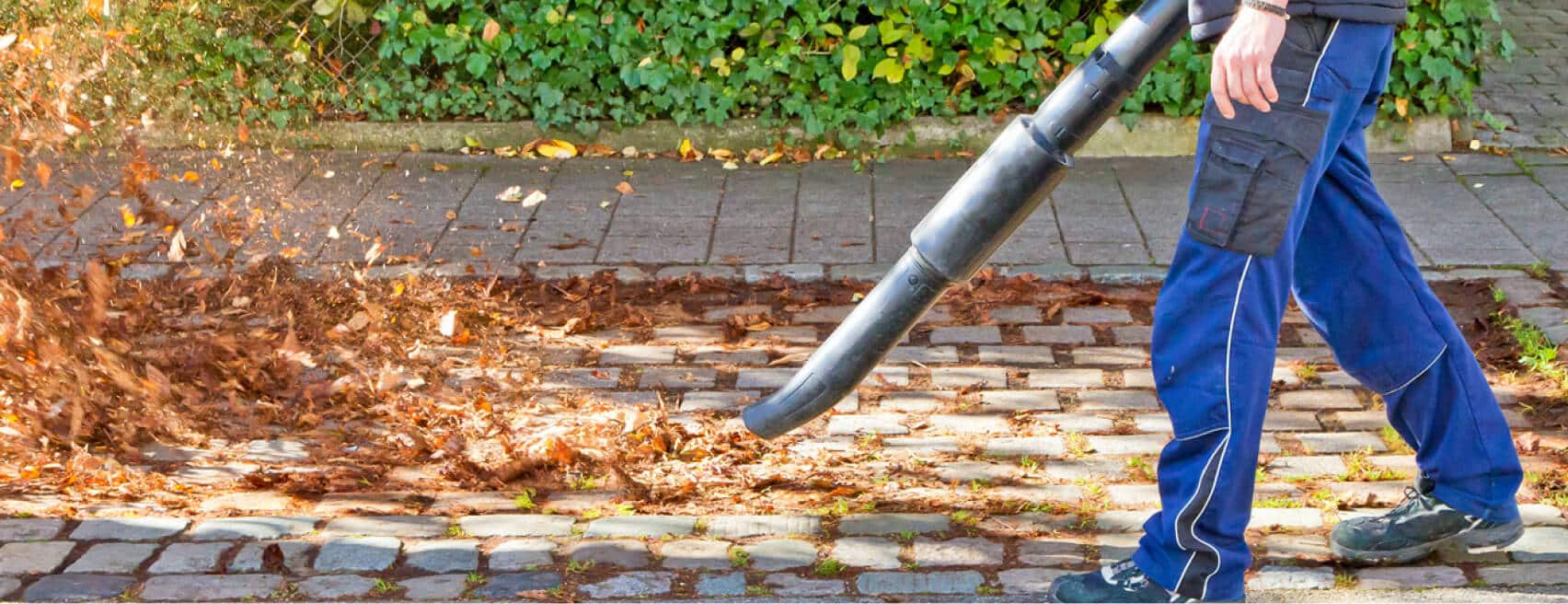 Yard cleanup and exterior refresh result